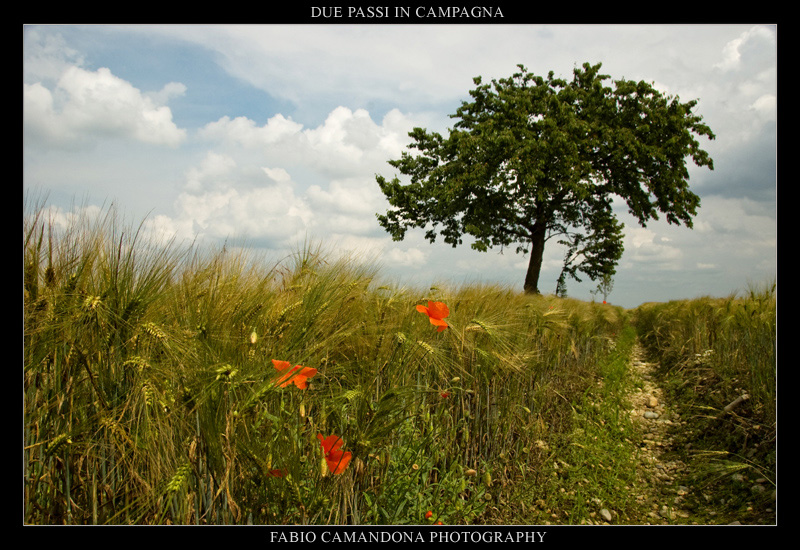 due passi in campagna