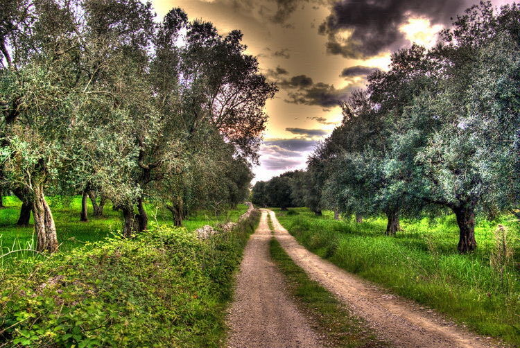 HDR Strada di Campagna