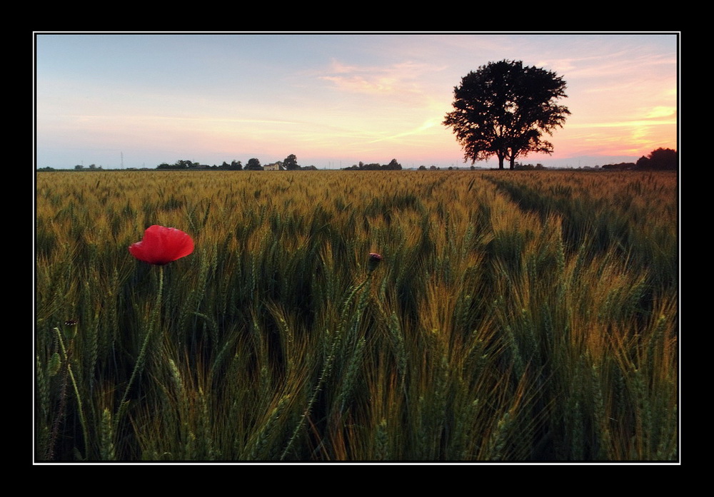 Ultima sera di Maggio...