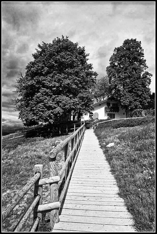 La casa tra i due alberi