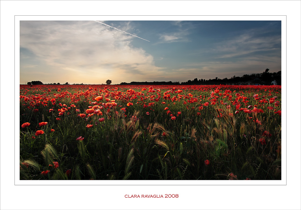 La campagna... insanguinata