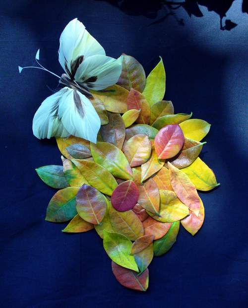 Foglie di gelsomino con farfalla sintetica.