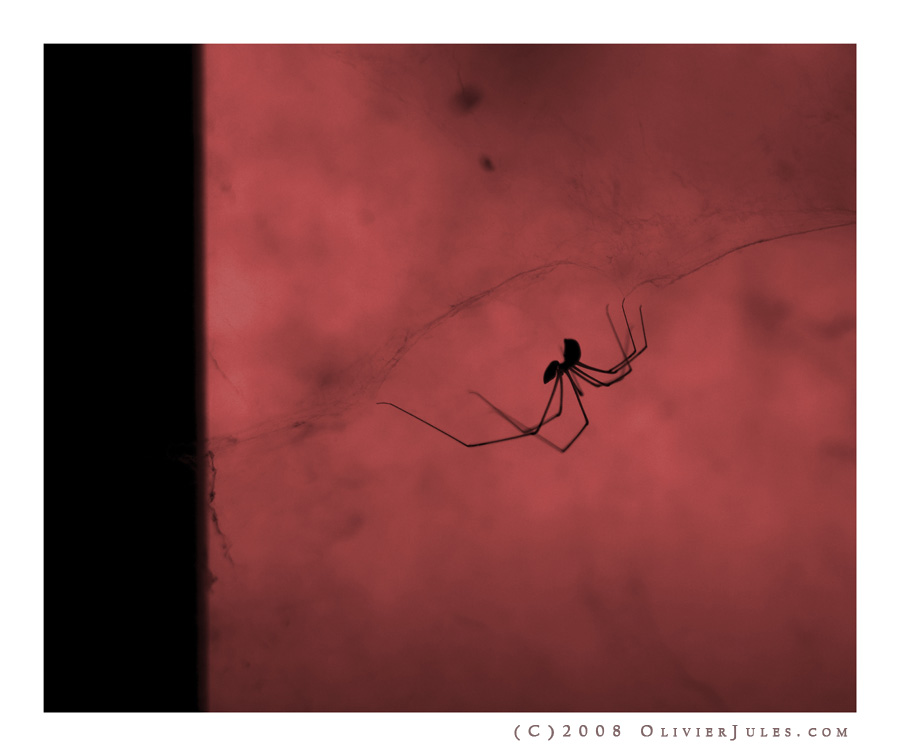 I spy something that starts with s...