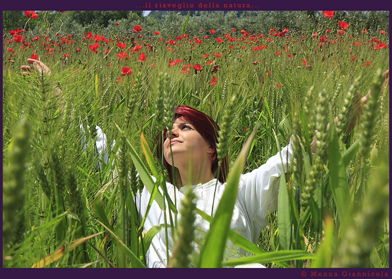 Il risveglio della natura