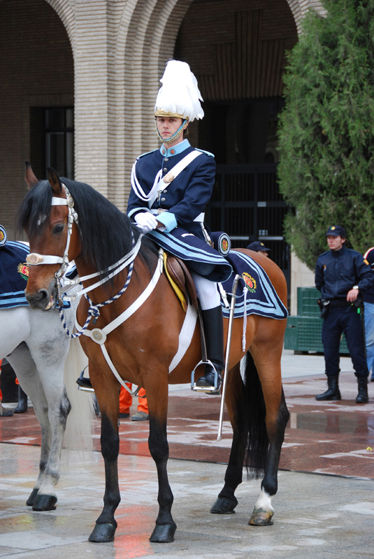 Cavalliere di Saragoza