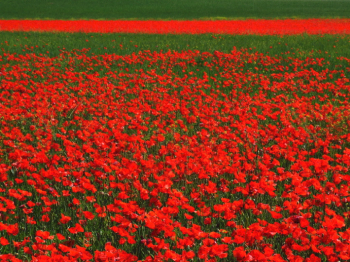 VERSO LA STRISCIA ROSSA