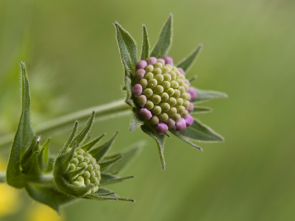Alla ricerca della luce...