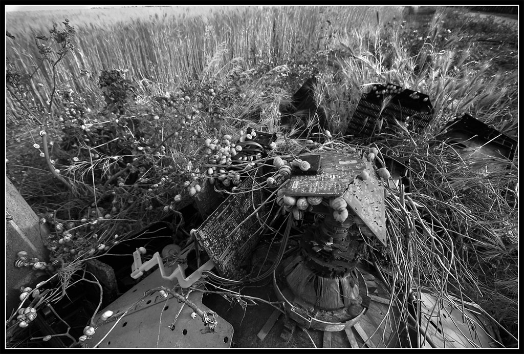 regresso tecnologico