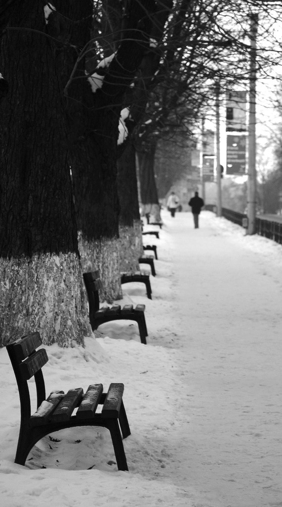 Mattina d'inverno a Brasov (Romania)