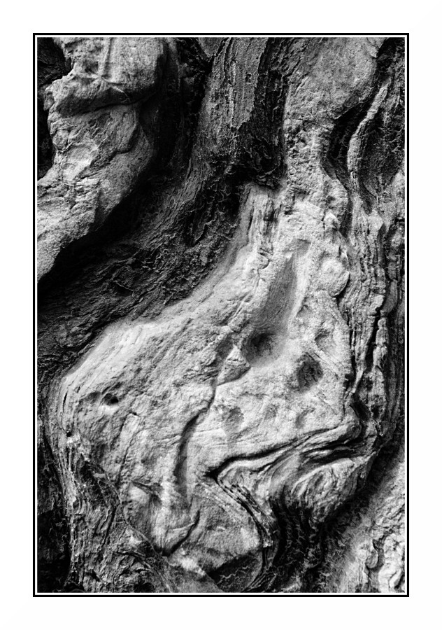 Bianco & Nero con Roccia