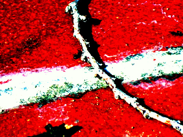 Una formica incontra un ostacolo e si ferma.