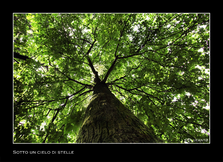 Sotto un cielo di stelle