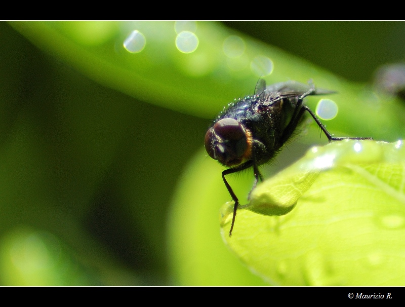 ai blocchi di partenza...