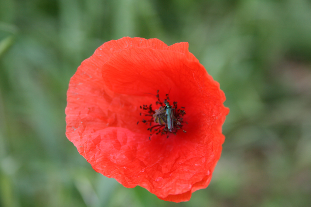 Rilassiamoci un p�...