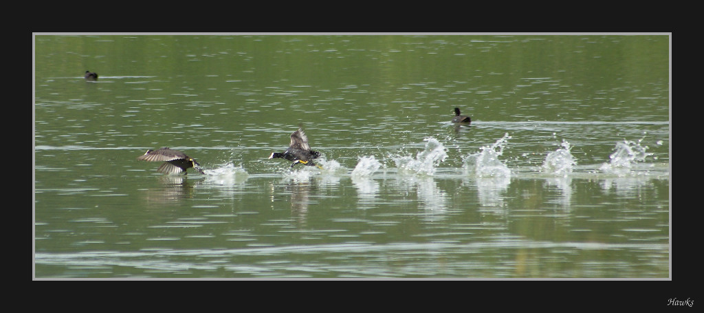 Camminando sull'acqua