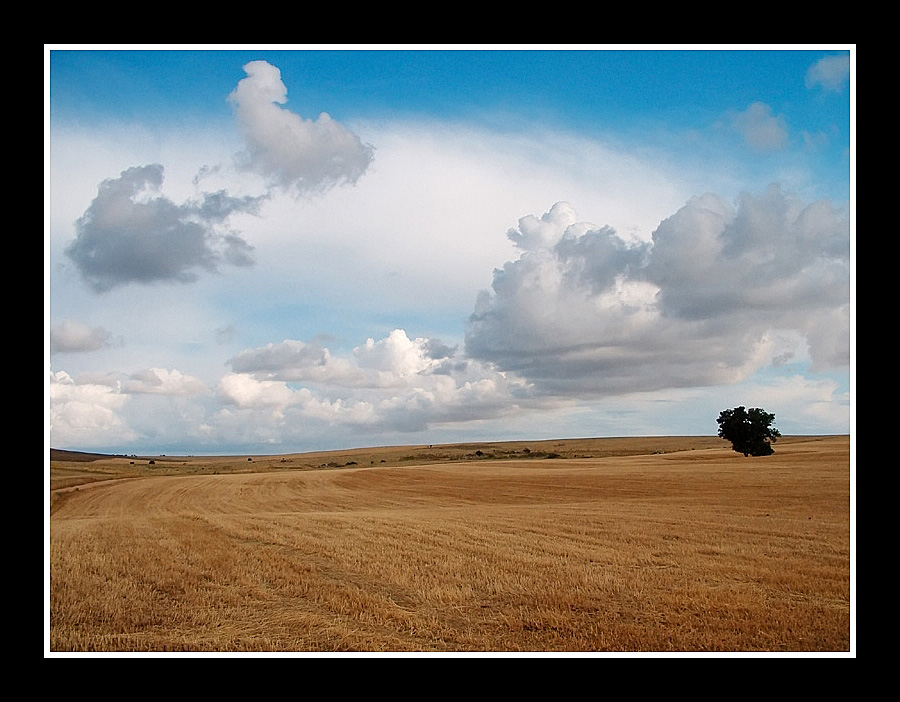 ...ZEN & THE COUNTRY...