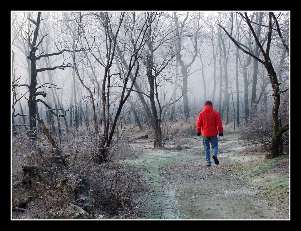 In cammino nella nebbia