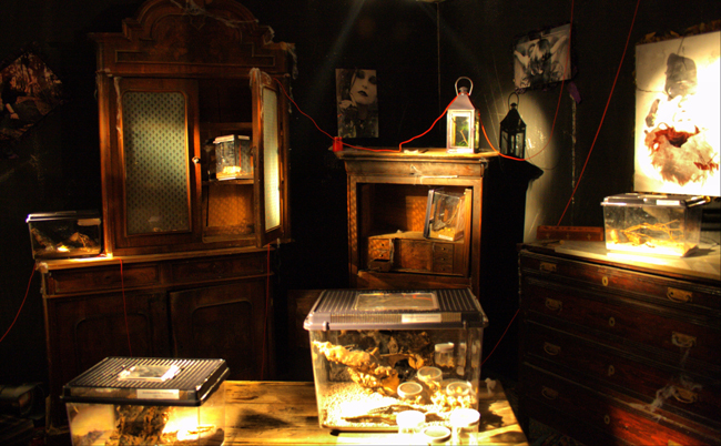 la camera degli errori................