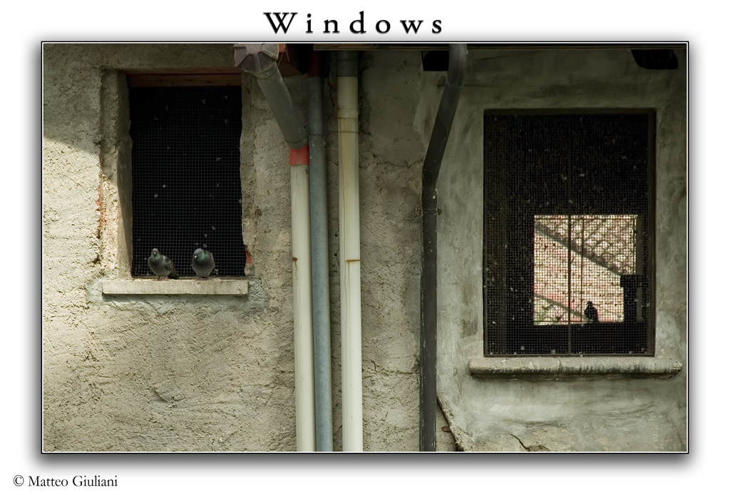 Windows