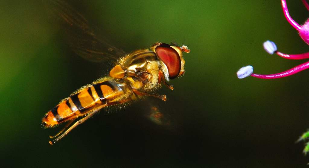 il momento giusto per scattare