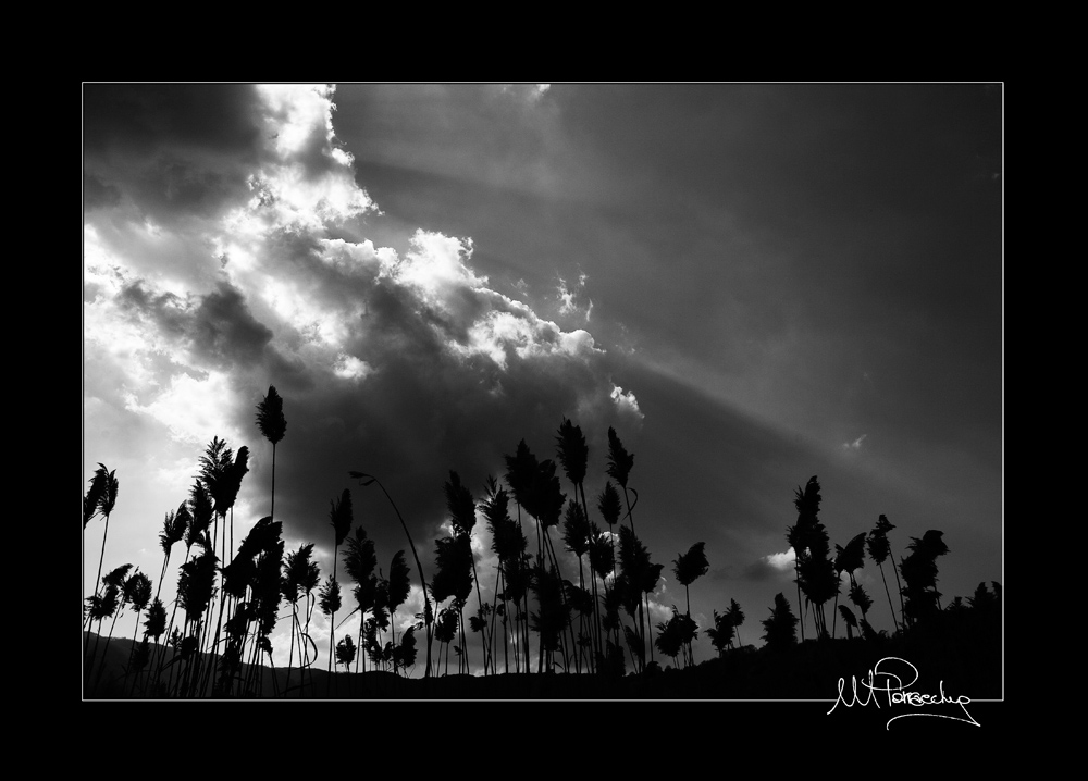 Raggi di luce...........