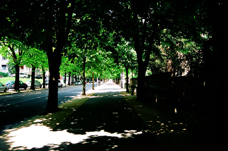 Strada di citt� - Ombra e luce