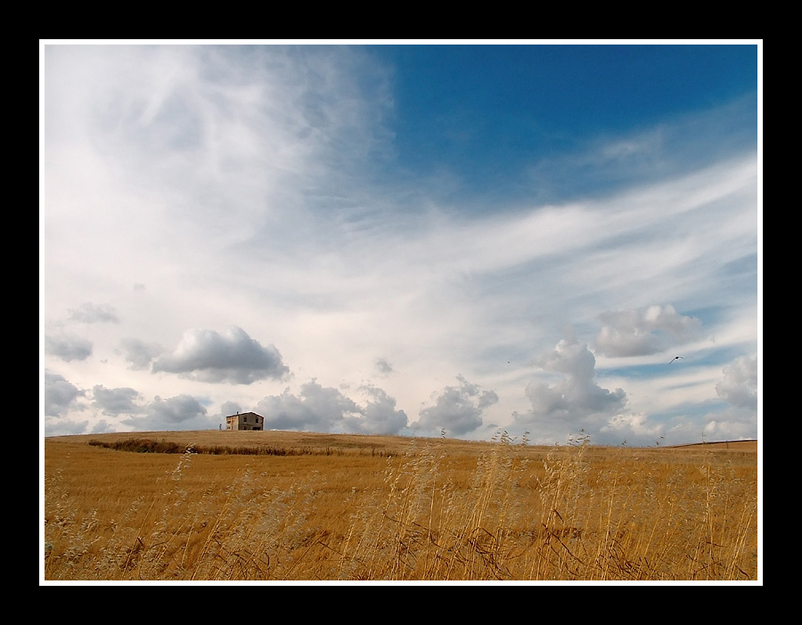 ...BETWEEN THE CLOUDS...