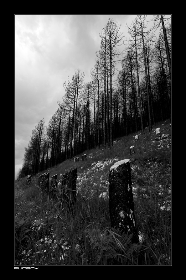 Il fuoco e i suoi danni