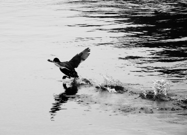 cambio di stagione......