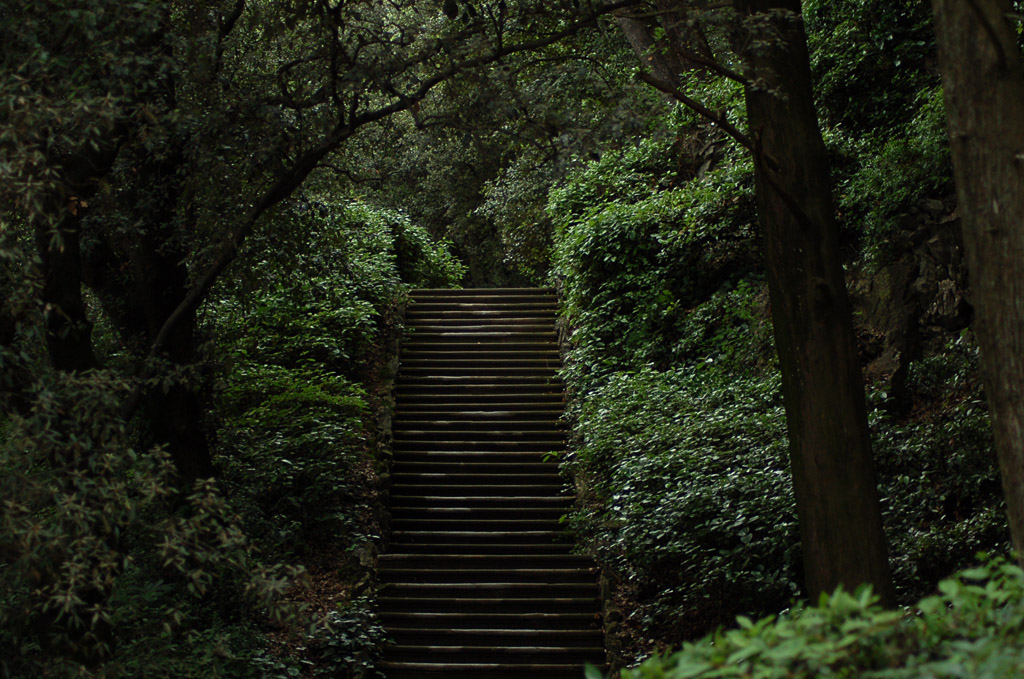 ...mi ritrovai in una selva oscura