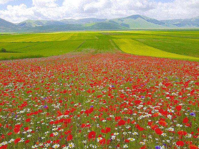 SCENDENDO VERSO IL PIAN GRANDE (RADUNO NSF)