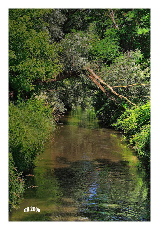 Ruscelli di Lombardia