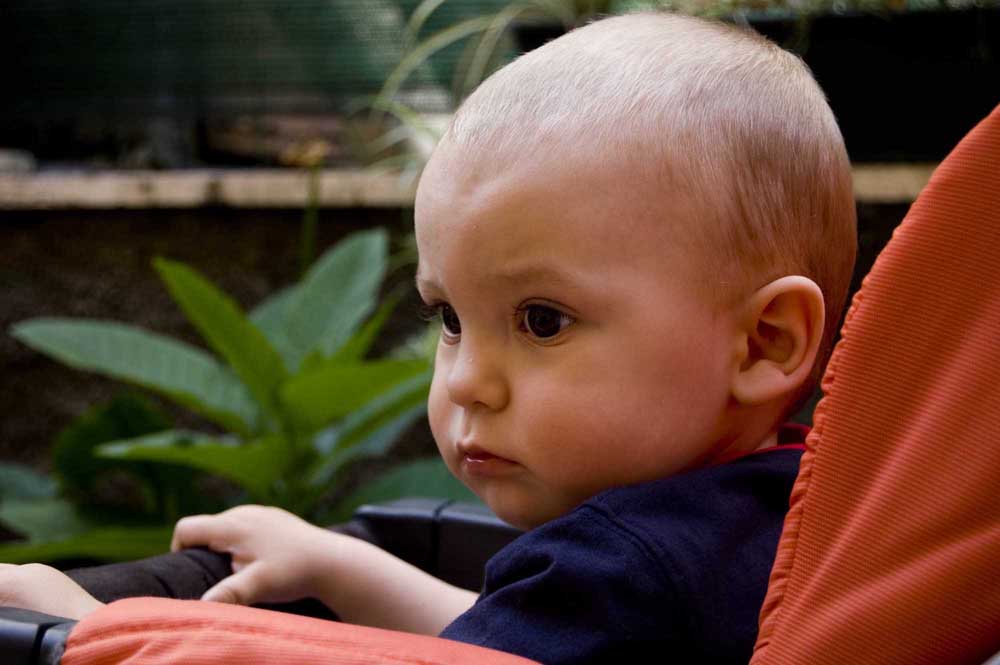 il miop bimbo come lo vedo io!