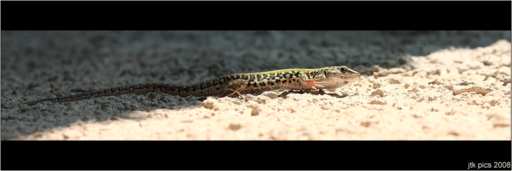 dai su. fai ciao con la manina! bravaaaaa!