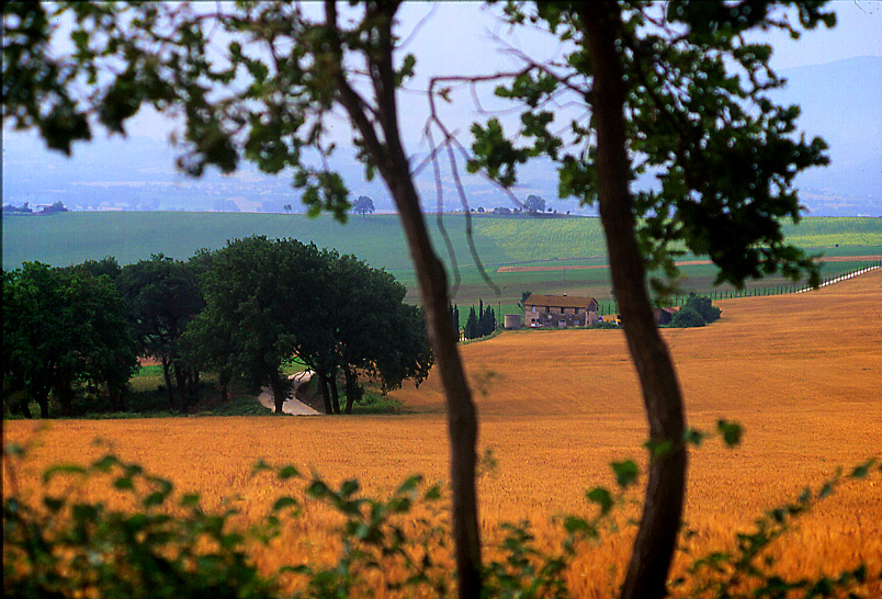 Paesaggio umbro