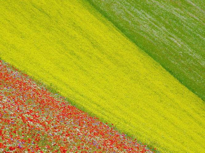 STRISCIE DI COLORI (RADUNO NSF)