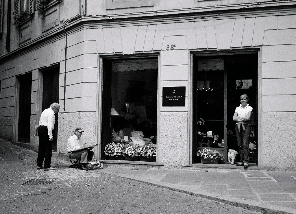 La bella, l'artista e il curioso