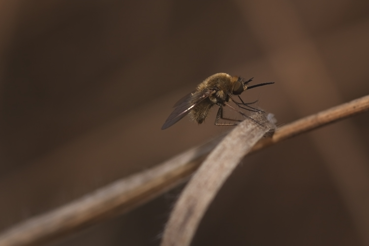 ready to gooooooooooo!