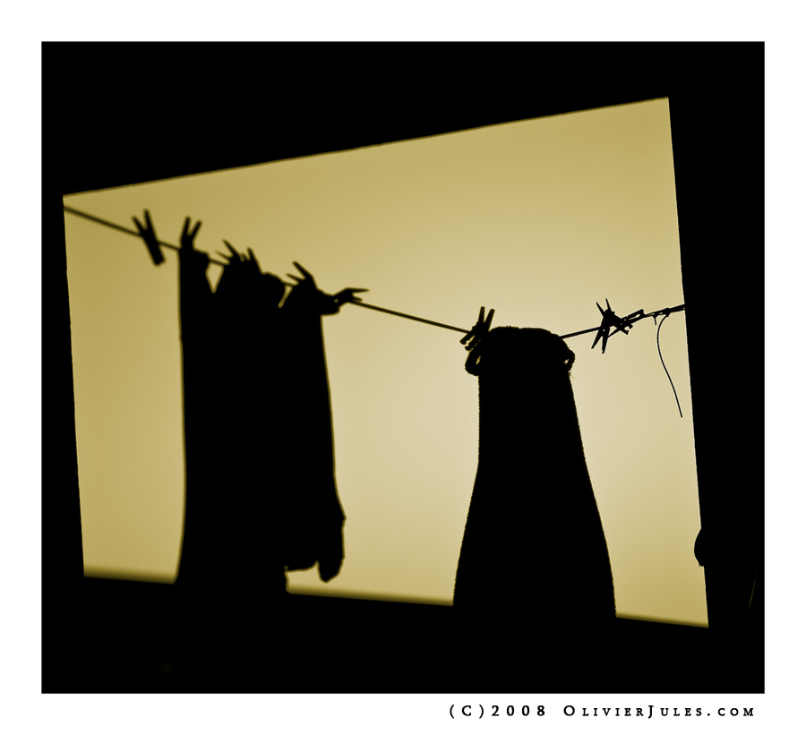 La bella e la Bestia