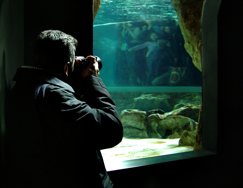 dentro la foto.......