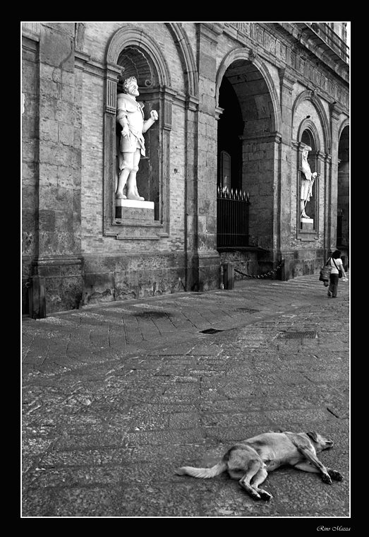 Fai l'indifferente, ora! ma se ti prendo.....