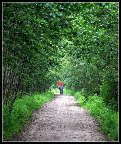 Nel mezzo del cammin di nostra vita mi ritrova in usa selva oscura!!!!