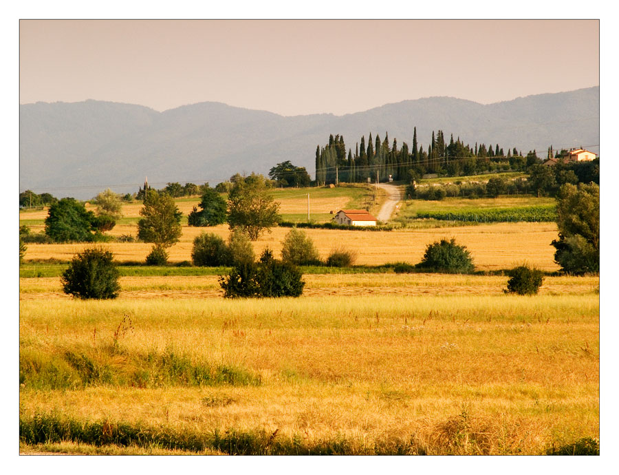 pomeriggio in campagna