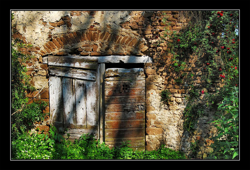 i segreti del vecchio giardino
