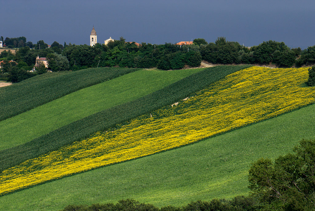 campagna marchigiana