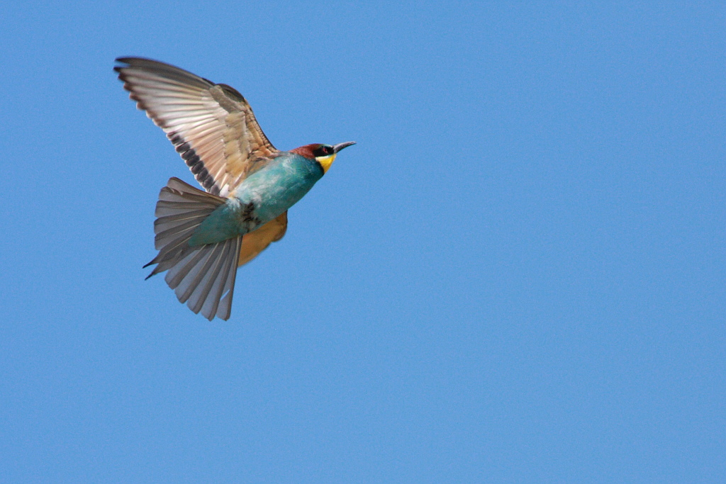 Il sole bacia i belli