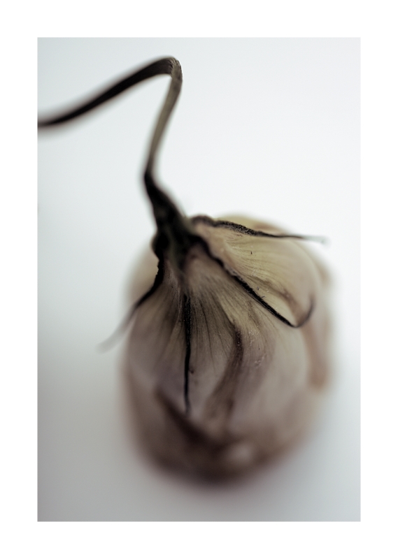 La Mia Linea Della Vita E' Lunga E Contorta