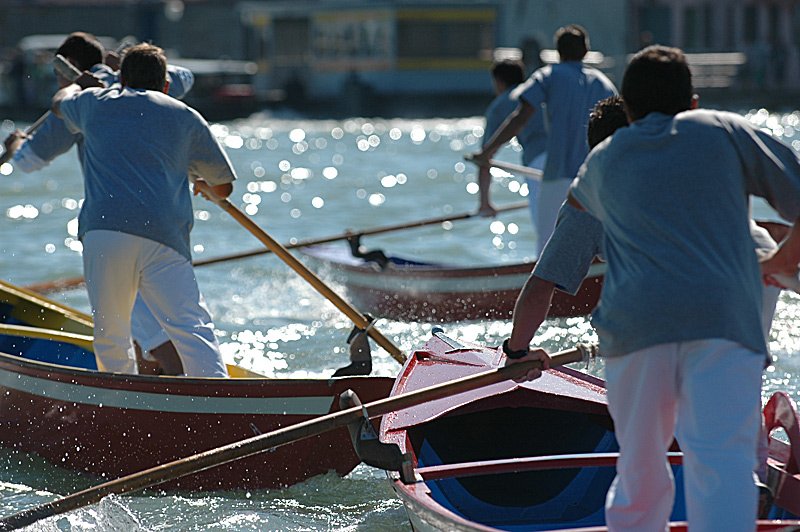 Regata a Venezia