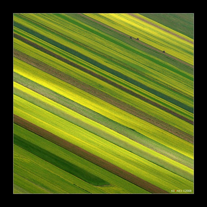 Pattern Castellucciano