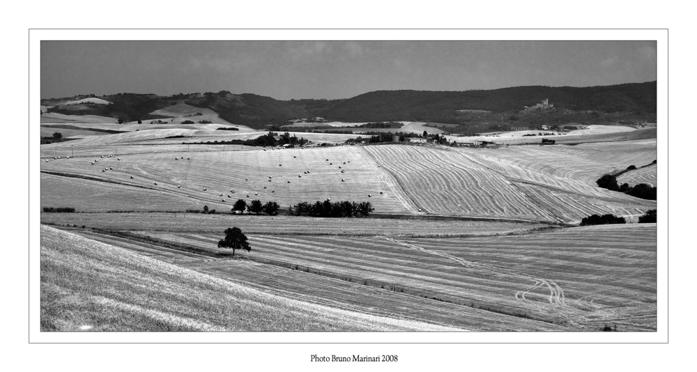 Paesaggi Toscani a fine Giugno